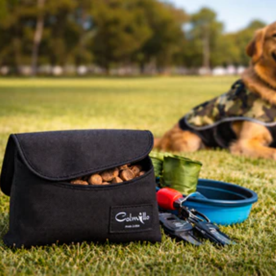 Colmillo Pouch & Bowl