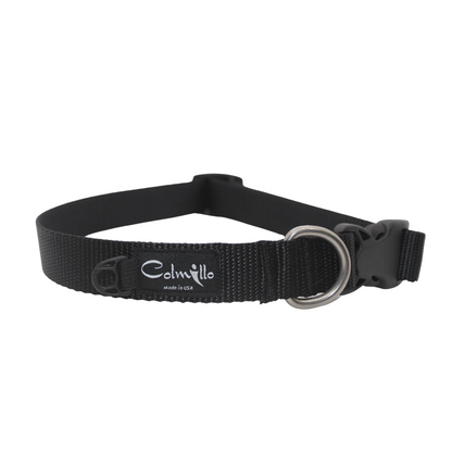 Premium Nylon Dog Collar
