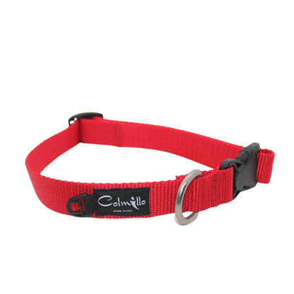 Premium Nylon Dog Collar