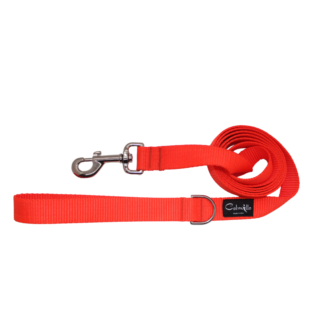 Colmillo Dog Leash – 6ft Heavy Duty Nylon